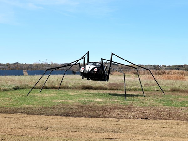 Famous spider located on the west side of Hwy 77 