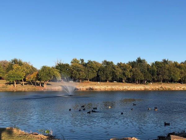 穆尔维池塘是钓鱼、观鸟或野餐的好去处. Three nice parks surround the pond