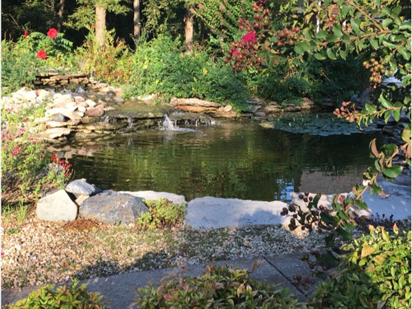 Beautiful pond at the start of the garden and hiking trail