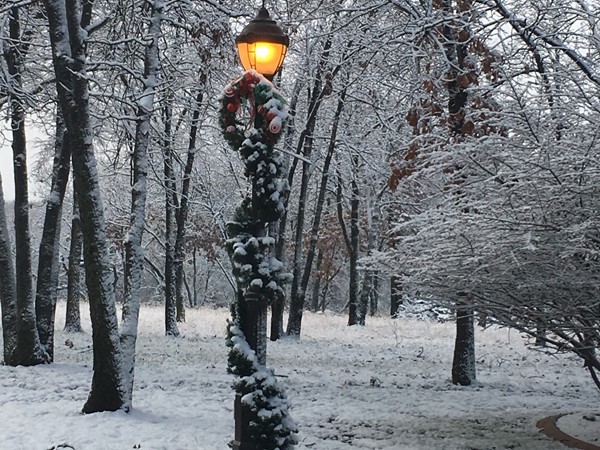 装饰在多佛湖的灯柱准备用雪和所有的圣诞节