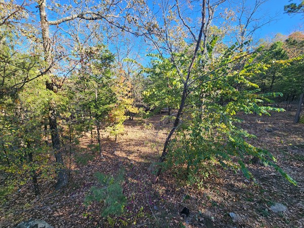 Beautiful hills surrounding Sardis Lake