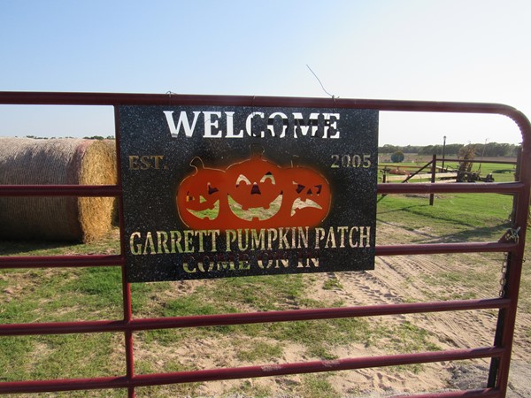 The Garrett Pumpkin Patch is a family-fun experience every fall, just south and east of Fairfax