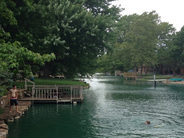 在柳树湖游泳的好天气