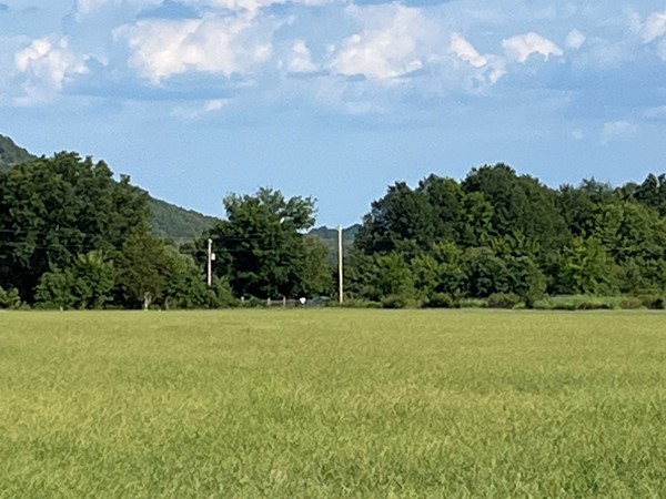 夏末的降雨给哈斯克尔县带来了绿草 