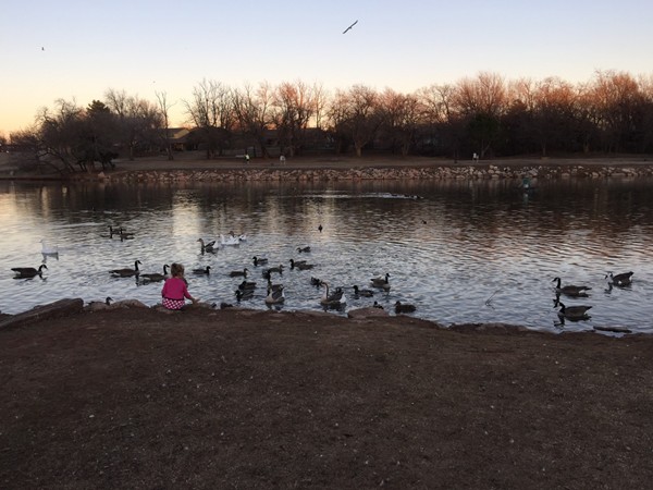 育空城市公园的日落. 居民们喂鸭子，鱼，散步小径，享受两个操场