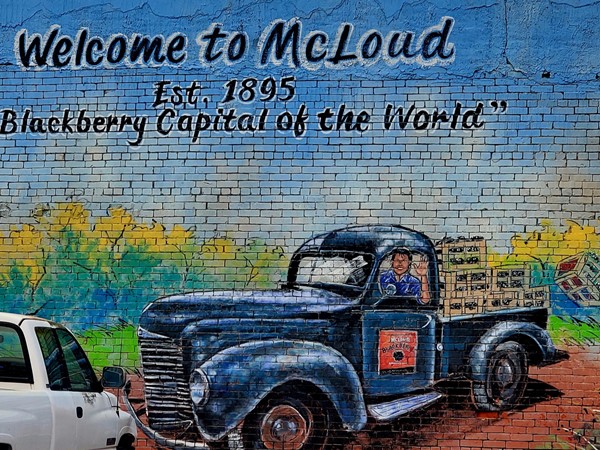 自20世纪40年代初以来，麦克劳德市一直在庆祝黑莓节 