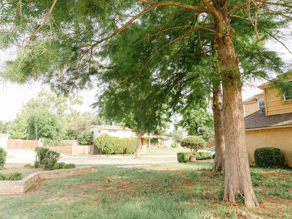 俄克拉荷马城的埃奇沃特有美丽的树木和庭院