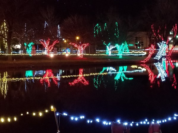 麋鹿城公园里的圣诞灯火通明