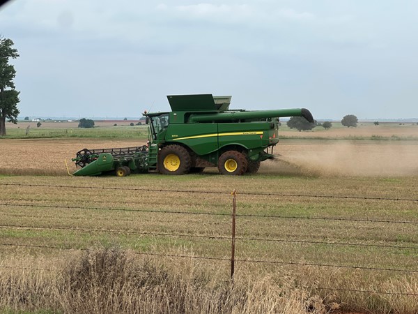 俄克拉荷马州的收获季节. 小麦和棉花是这个地区的主要作物