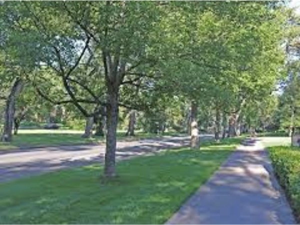 布鲁克海文绿树成荫的街道 