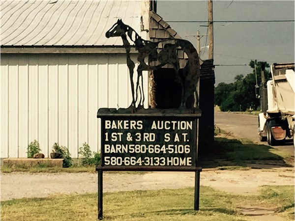 The Butler Horse Auctions sells much more than horses 