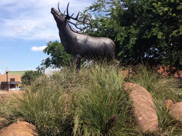 Bull Elk sculpture at the new City Hall, Elk City