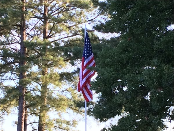 The U. S. red, white and blue on Flag Day
