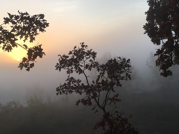 美丽的雾蒙蒙的早晨在上帝的国家东南OK，莱弗洛尔县 