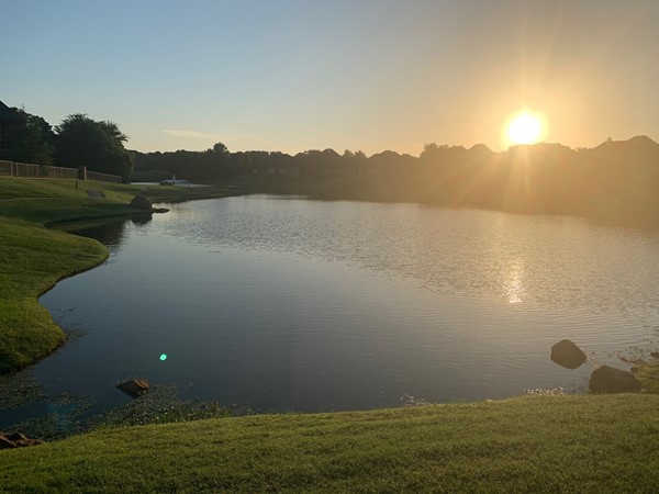 从三个池塘之一的散步小径上看到的晨曦