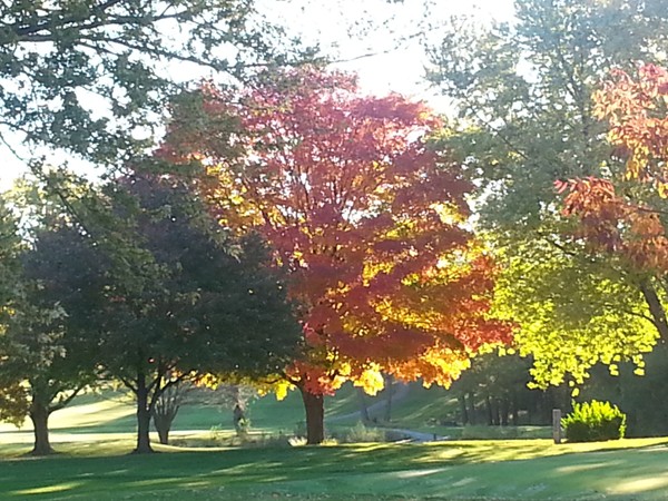 A beautiful brisk fall morning at the Urbandale Golf & Country Club.  A favorite view in Urbandale