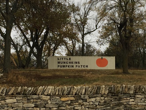Little Munchkins Pumpkin Patch is located approximately one mile south of I-70
