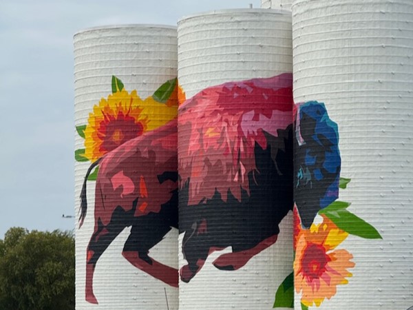 Beautiful work of art at the soccer fields in Griffin Community Park