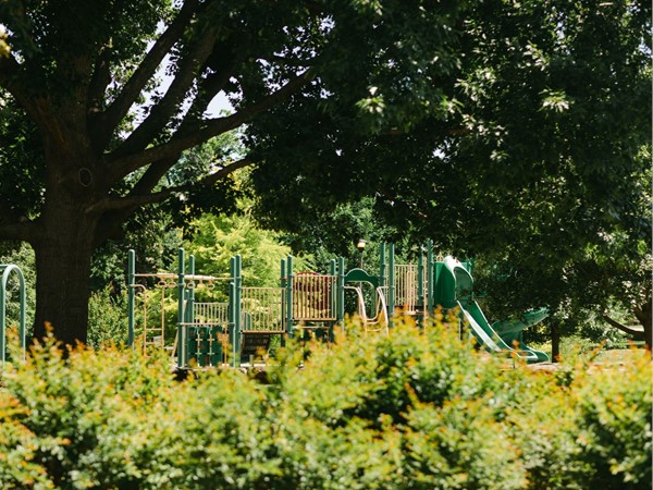 Playground at Crown Heights Park