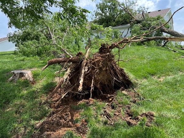 Storm damage from June 7th