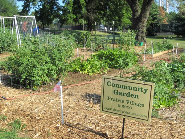 Community Gardening at Harmon Park
