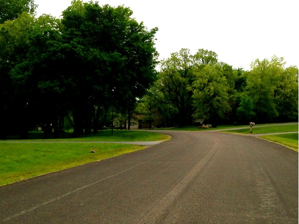 Quiet, wide streets with mature trees leading down to Lohr Lake