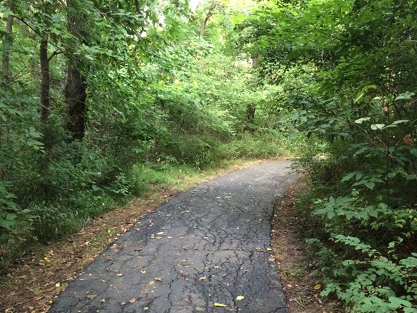 Jogging, walking, golf cart ride - You can do it all on this trail