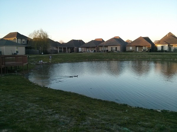 Enjoy the walking path around the Willowbrook lake and find ducks, geese, turtles and fish