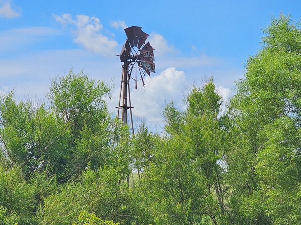 Still standing through storms and seasons, this rusty windmill tells stories in the silence.