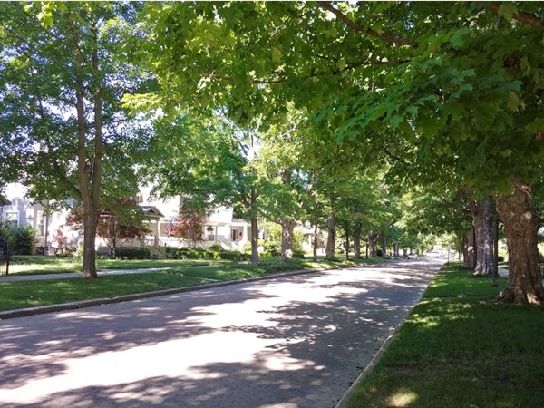 Shady, tree-lined streets are part of the charm of downtown Traverse City