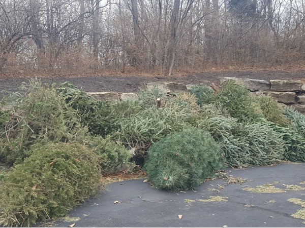 Thanks Riss Lake HOA for taking our Christmas trees. They will be put in the lake for fish habitat
