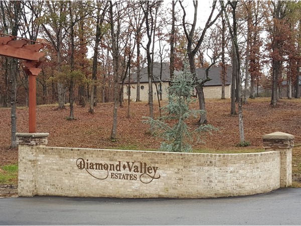 Diamond Valley Estates is a brand new subdivision in the Valley View school district, Jonesboro