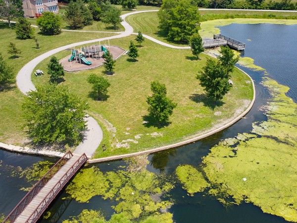 Kingston Lake Park, June 2020