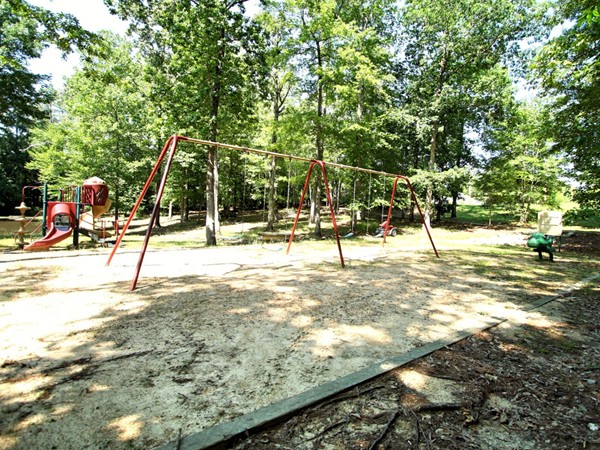 Shady playground for the kids to play
