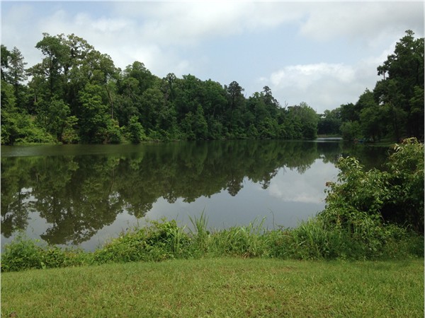 Partial view of Dogwood Lake near boat launch