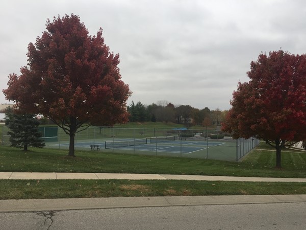 Residential tennis courts in the fall