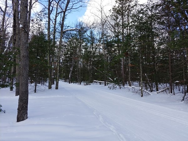Hit the VASA xc ski trails for a great workout with beautiful views