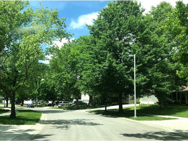 The green trees at Brittany Place give a fresh and relaxing feel in the neighborhood
