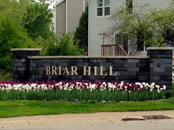 Welcome to the Briar Hill Development!