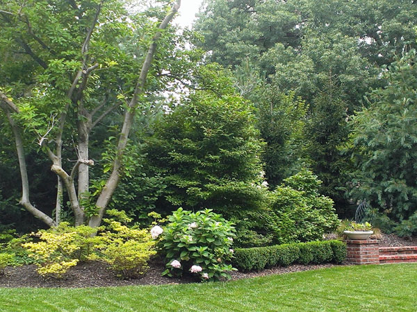 Beautiful landscaping in the common areas at Crestwood subdivision