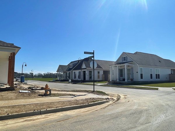 The Grove at Sugar Mill Pond street view