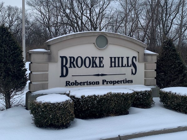 Lots of new construction going up this spring in Brooke Hills  