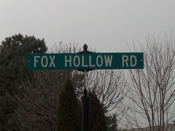 Fox Hollow area