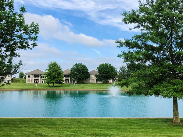 Pond near the entrance of the subdivision 
