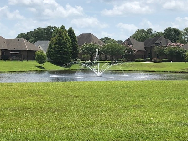 Lake view in Renaissance Subdivision located off of Hwy 73 in Prairieville