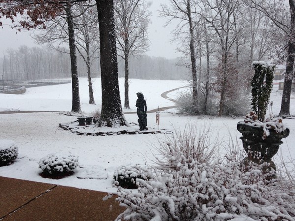Beautiful February snow in Olive Branch 
