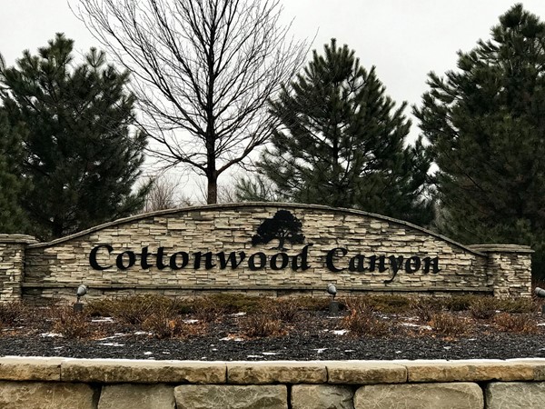 Welcome to Cottonwood Canyon