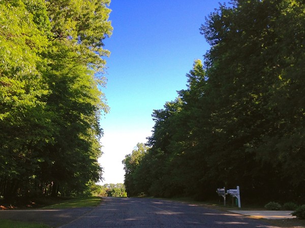 Tranquil, shaded roadways give many homes enhanced privacy