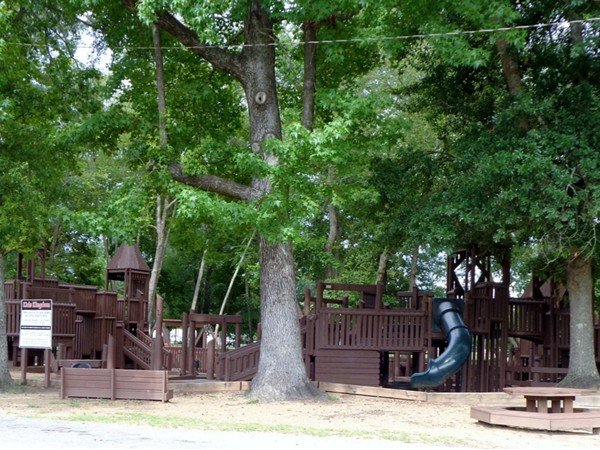 Kids Kingdom- a custom built playground in Millbrook 