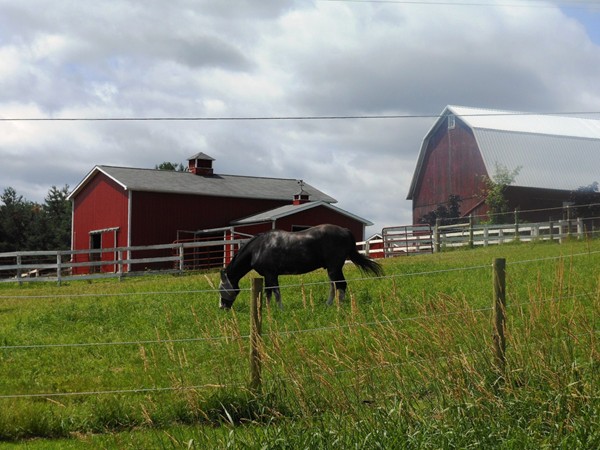 Pastoral setting in Hadley Township